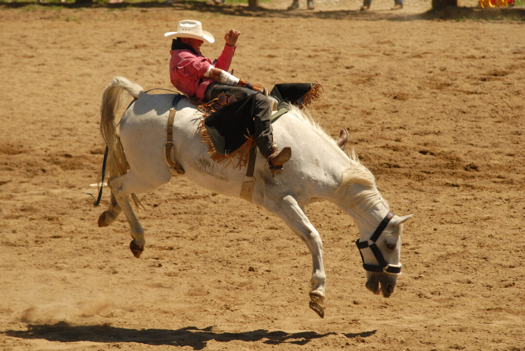 website content needs to keep visitors around as long as a cowboy on a bucking bronco